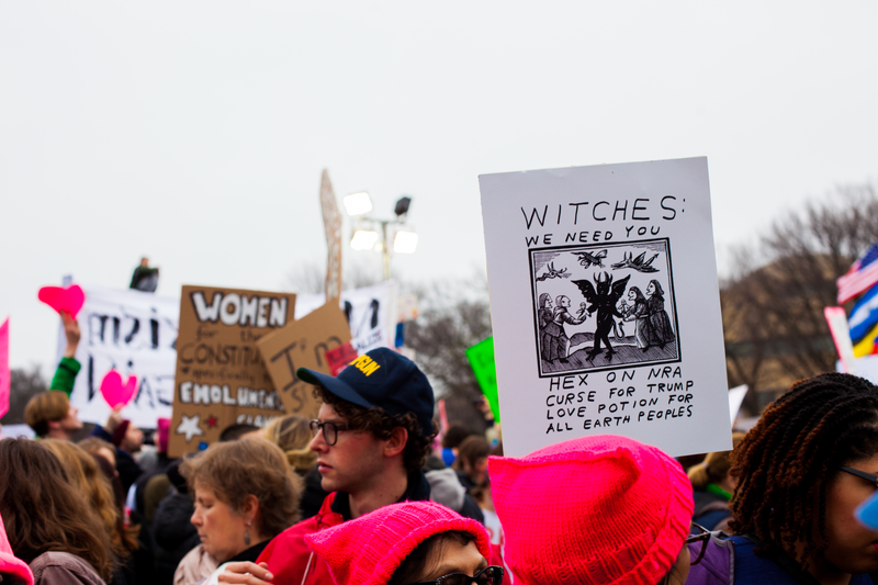 Illustration for article titled WOMEN'S MARCH ON WASHINGTON : THE SIGNS